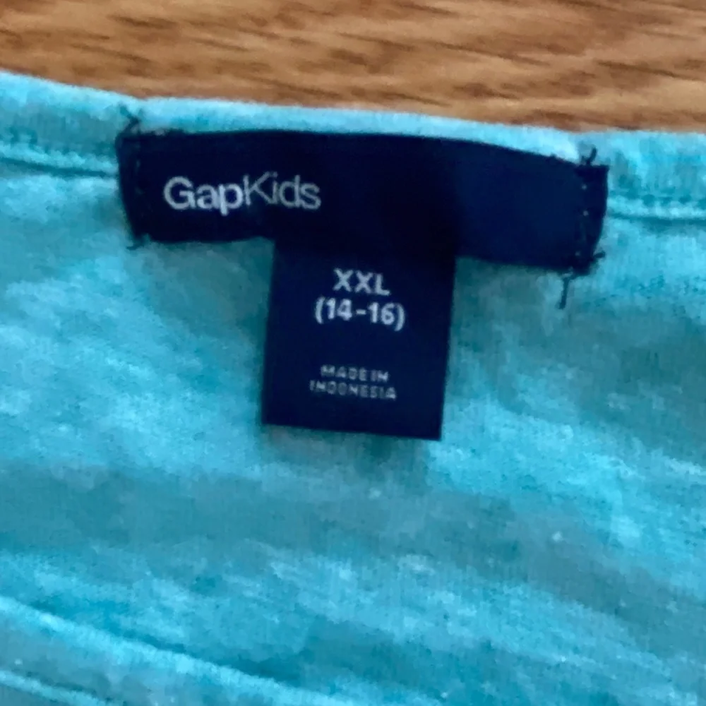 GapKids NWOT Tulle Skirt (12) + NWOT Matching Green Top (14/16)